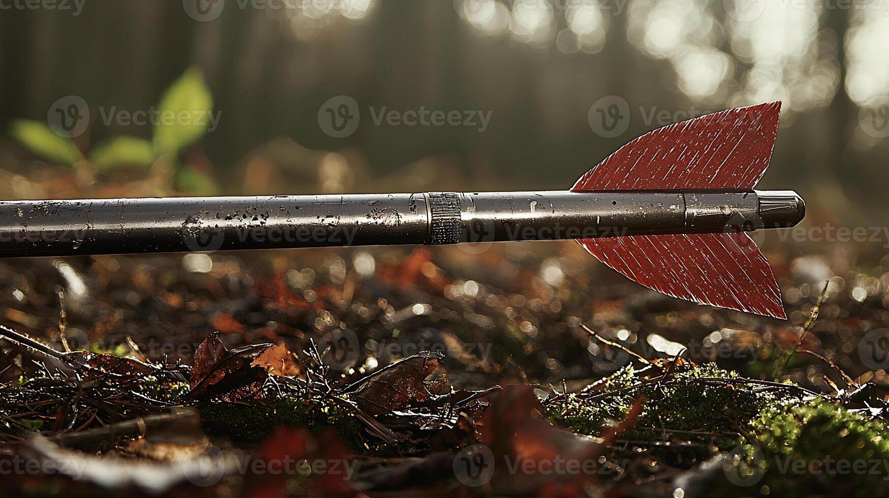 Close-up of an arrow resting on the forest floor amidst fallen leaves and soft sunlight photo
