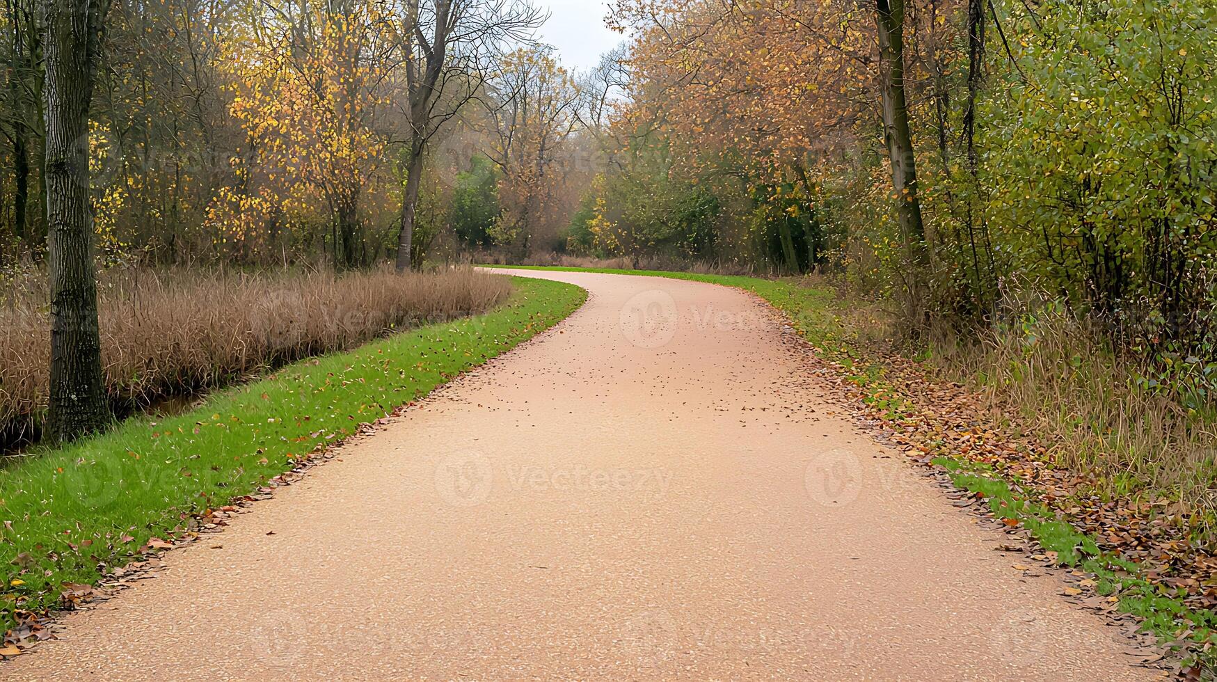 Serene winding path through autumn forest with colorful leaves and tranquil surroundings photo