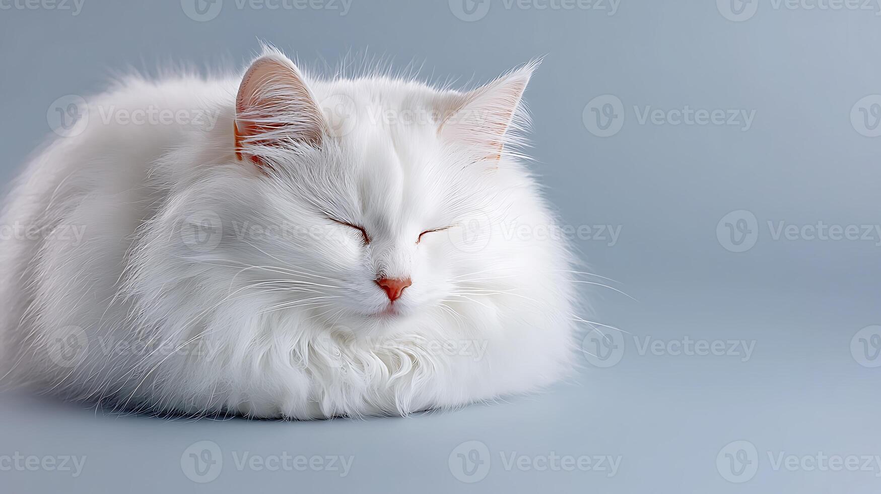 A serene white cat peacefully sleeping on a soft blue surface, creating a calm atmosphere photo