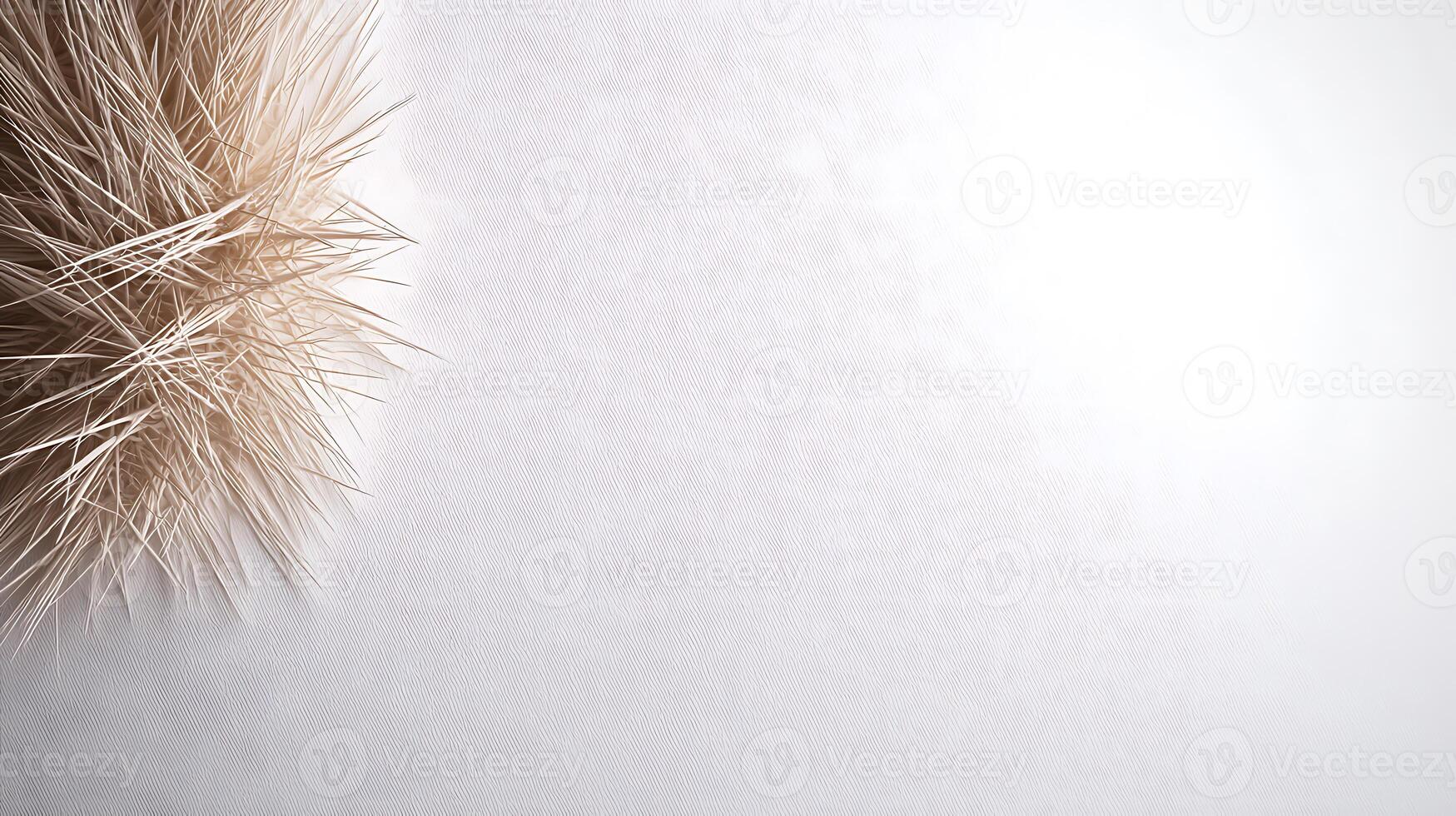 Close-up of soft, textured plant fibers on a light background, creating a serene atmosphere photo