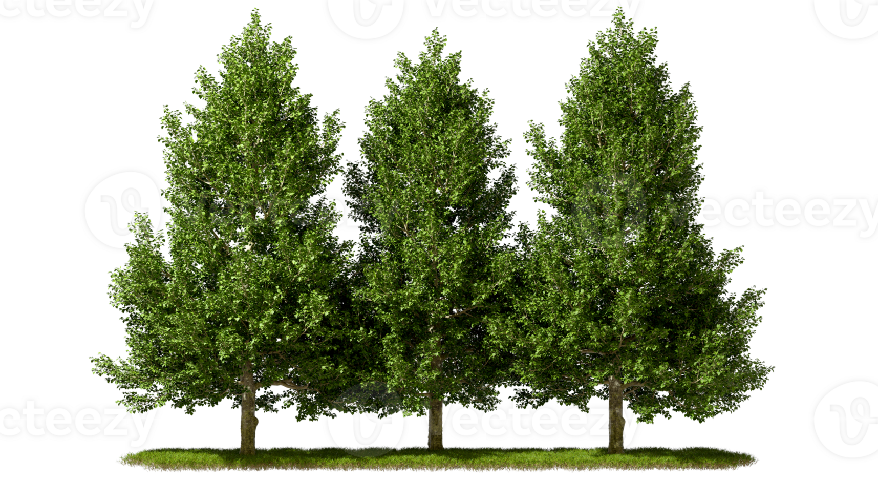 Cutout green trees group on grass meadows 3d render png