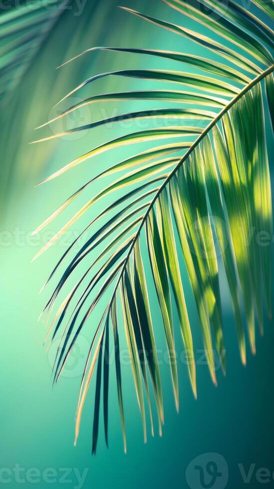 Tropical palm leaf gently swaying in turquoise breeze creating relaxing summer vibes photo