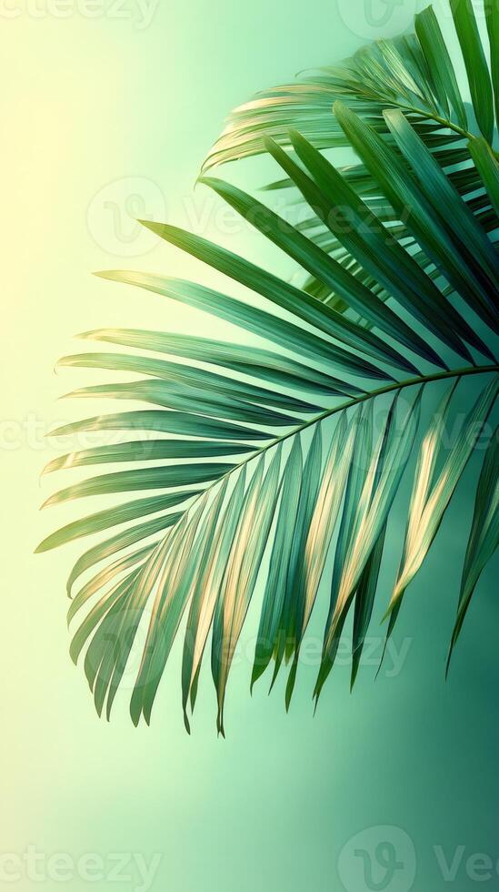 Tropical palm leaf gently swaying in soft green light photo