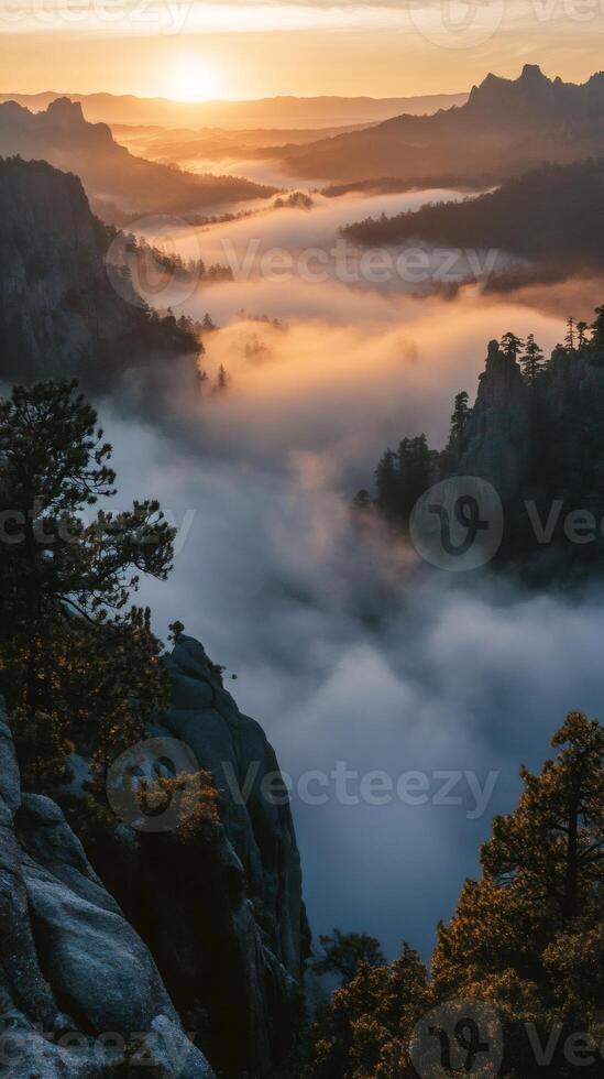 Golden sunrise illuminating misty valley in custer state park, south dakota photo