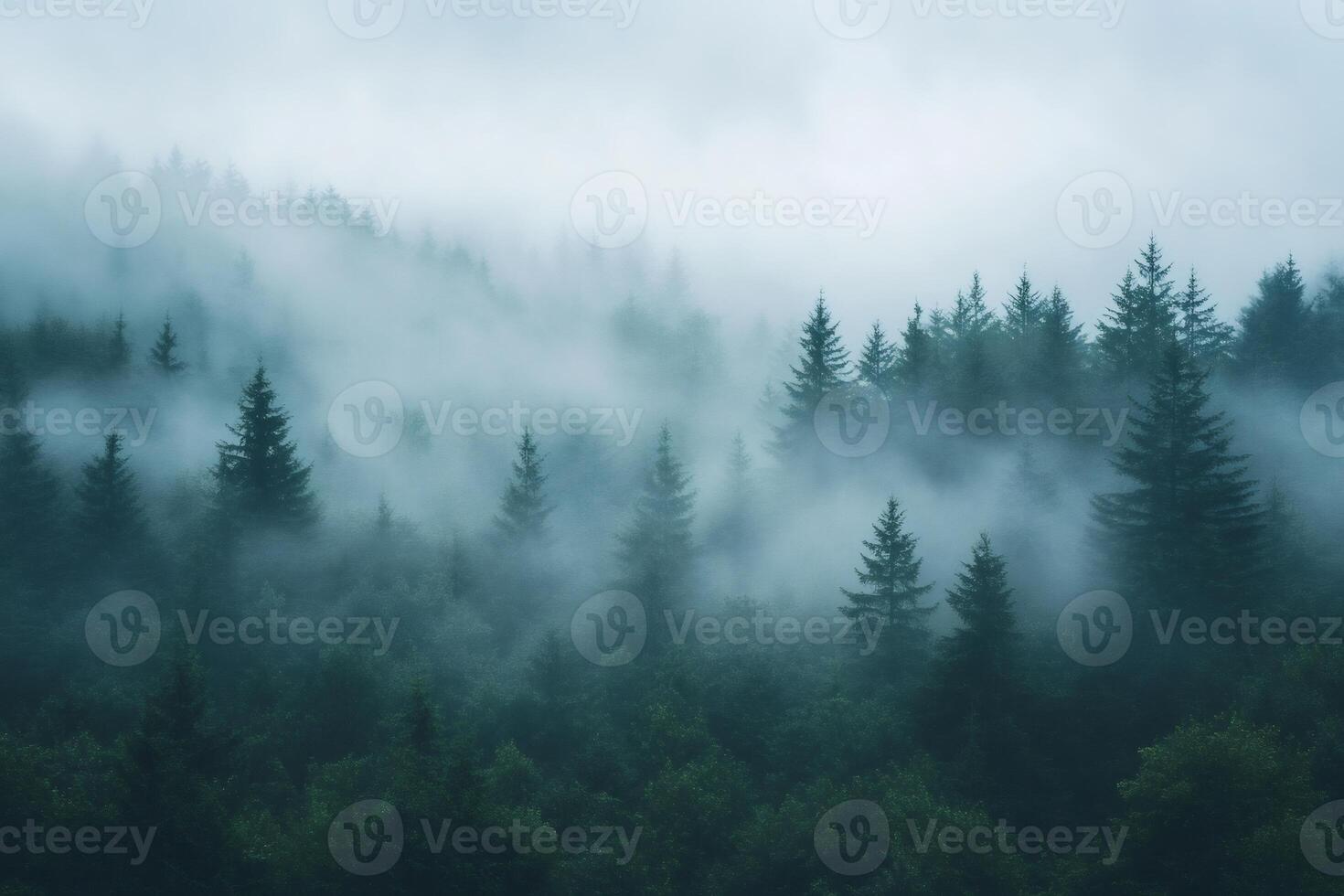 Misty forest landscape with fog covering evergreen trees photo