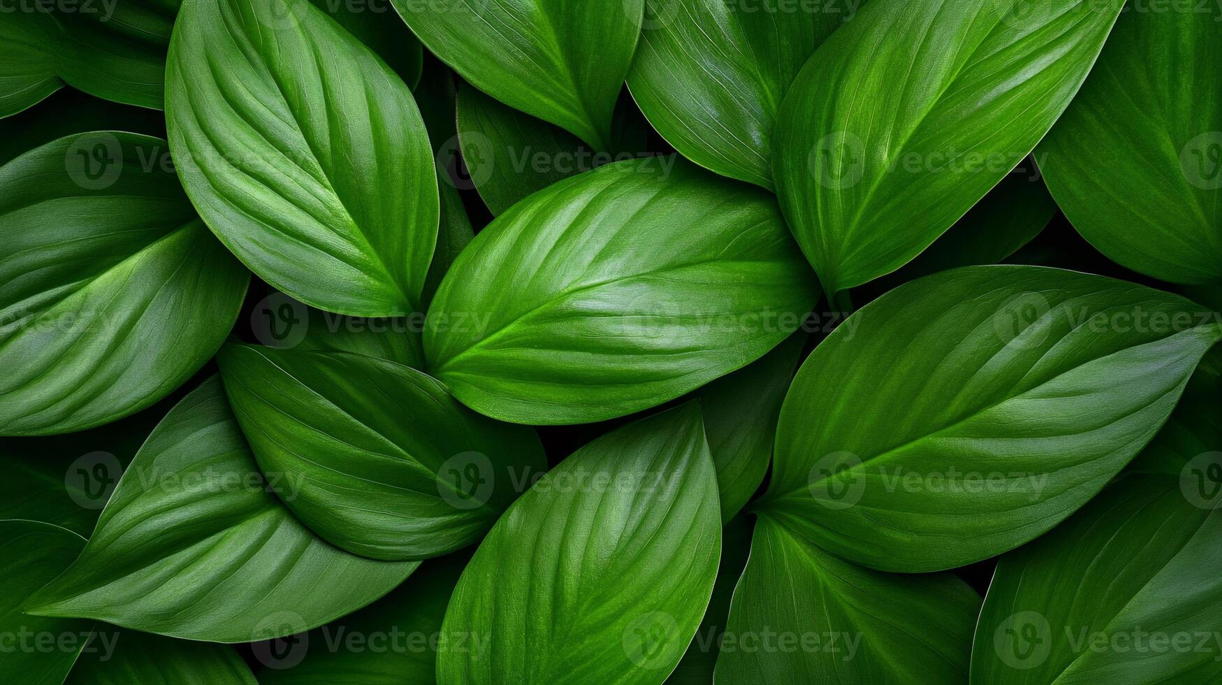 Vibrant green leaves creating lush natural background texture photo