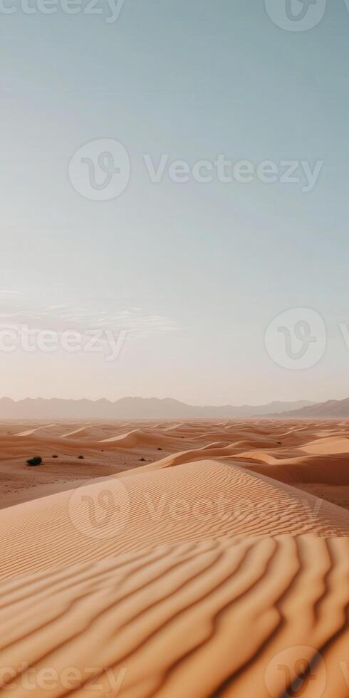 Desert landscape with sand dunes and mountains photo