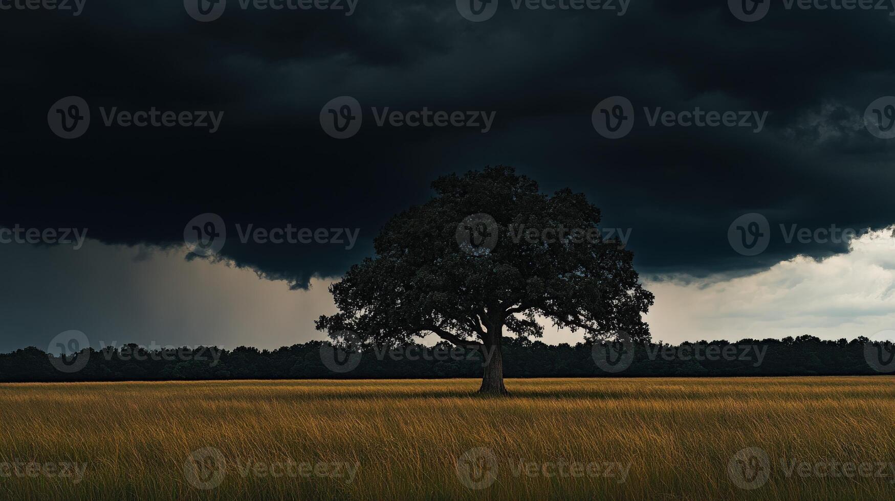 A lone tree in a field under a dark sky photo