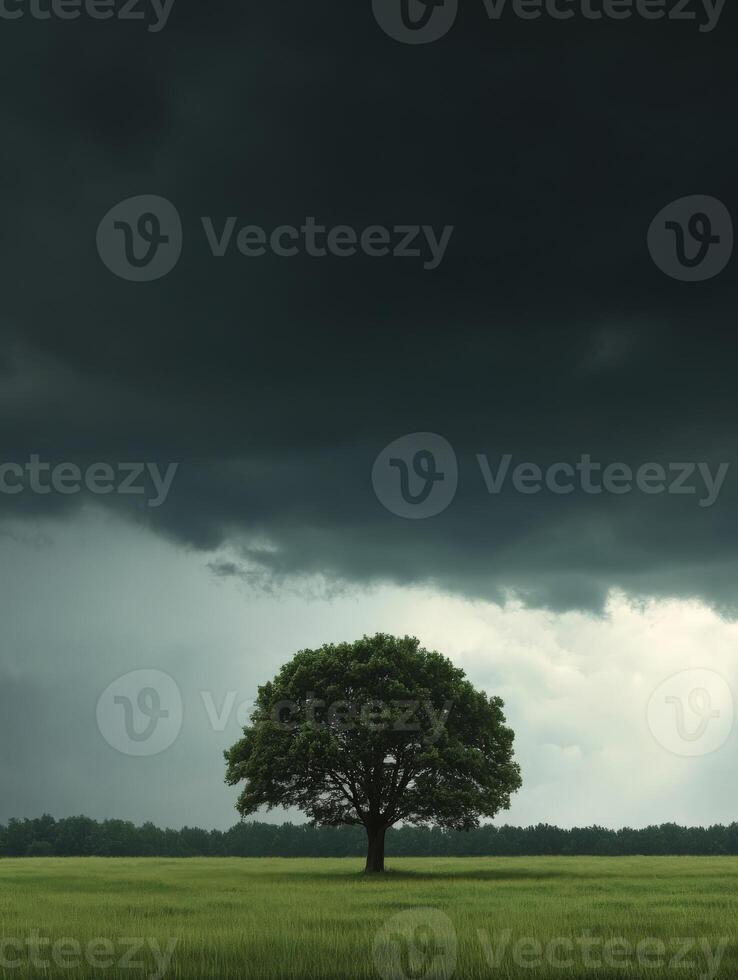 A lone tree in a field under a dark sky photo