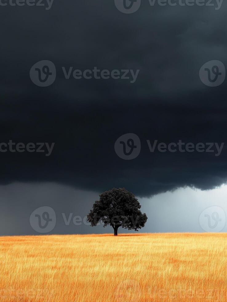 A lone tree in a field under a dark sky photo