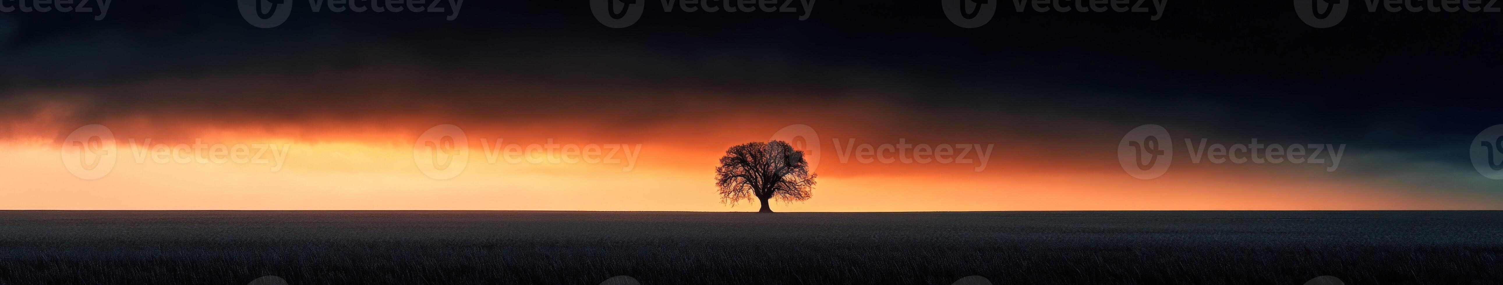 Lone oak tree under a dramatic sunset sky with rolling clouds photo