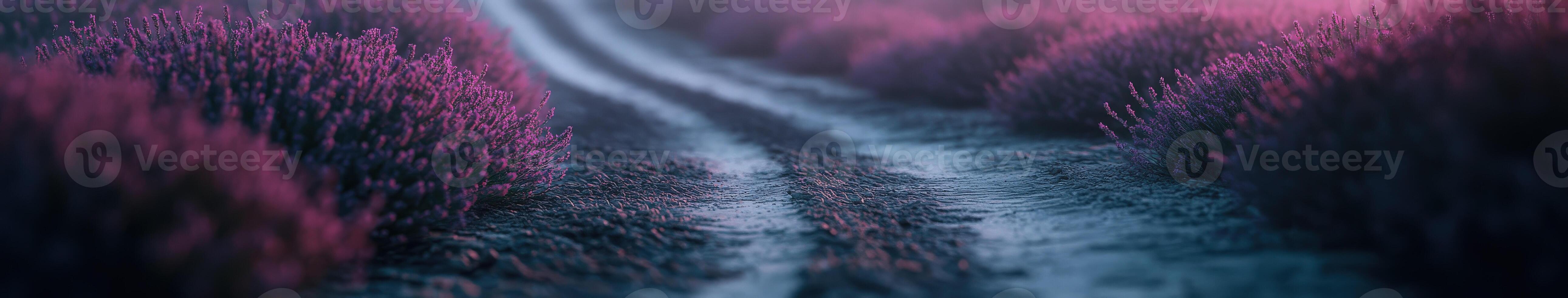 Lavender fields create a serene pathway at dusk with gentle lighting photo