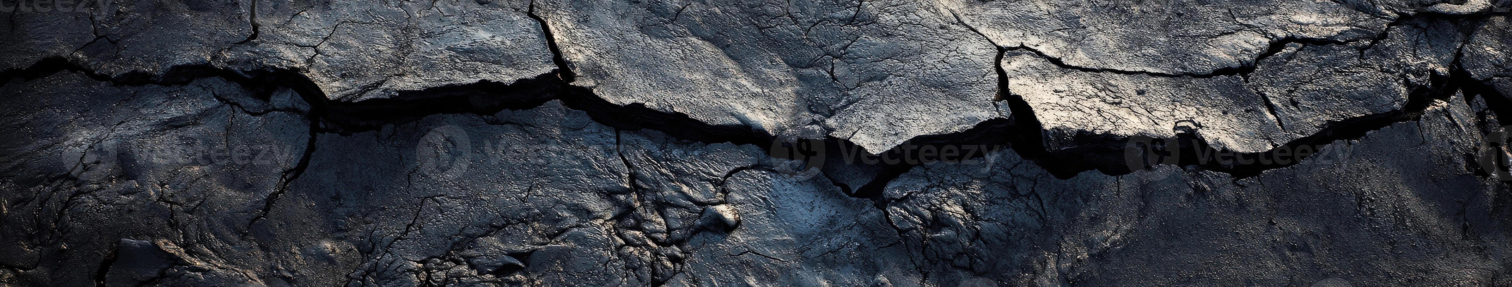 A close up of a tree with a dark wood texture photo