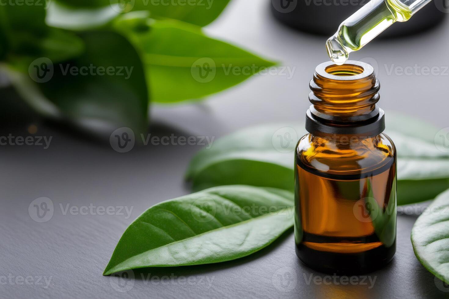 Pipette pouring essential oil into bottle surrounded by fresh green leaves photo