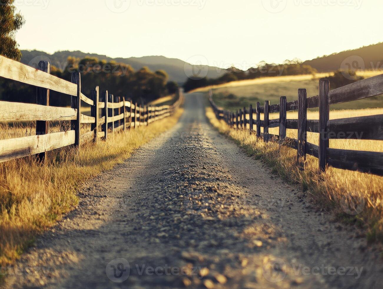 Serene dirt road bordered by wooden fences in golden evening light photo