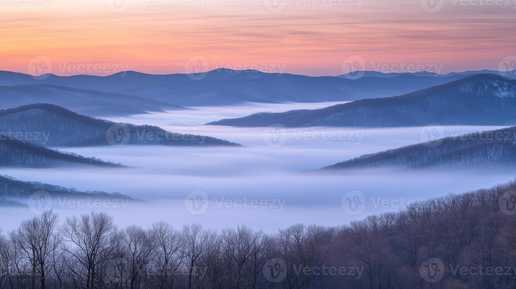 A foggy morning in the mountains with trees and mountains photo