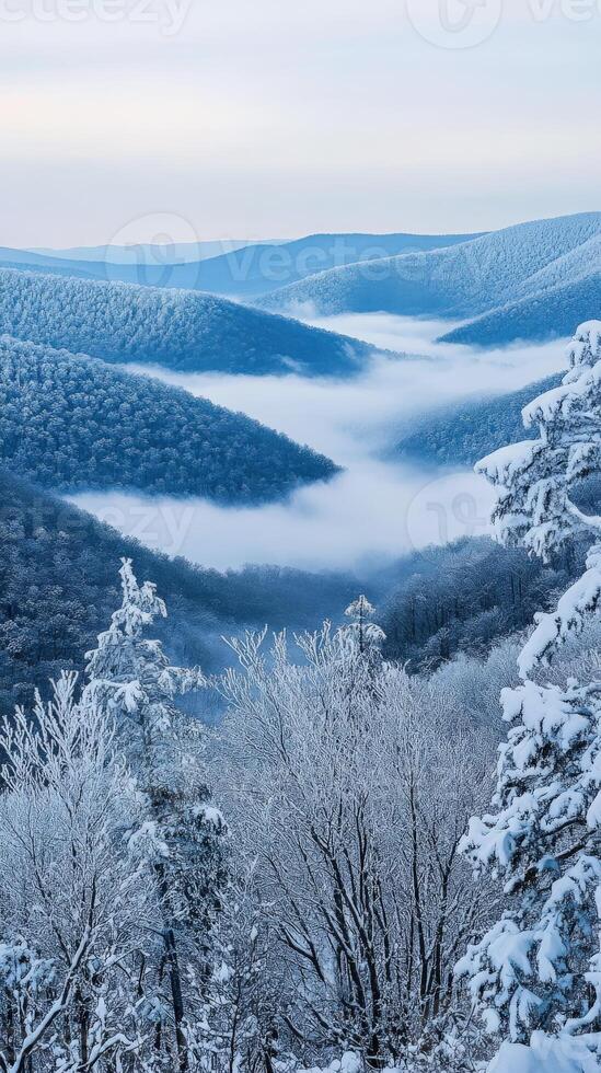 Snowy mountain valley shrouded in fog photo