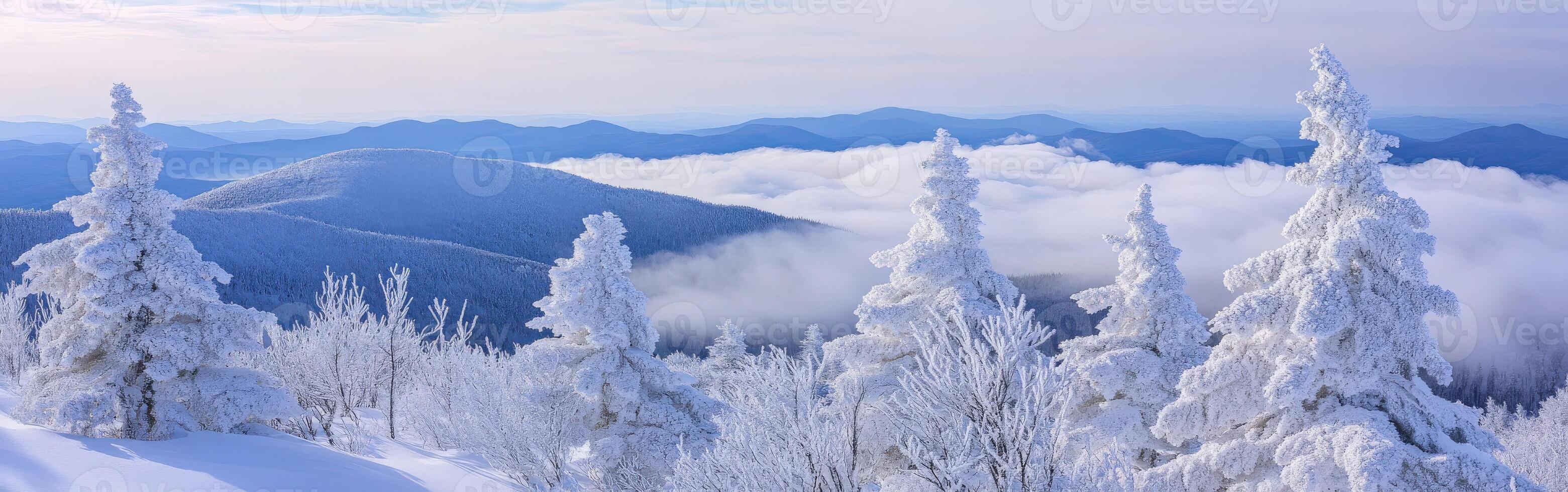Snow-covered mountains and trees in winter photo