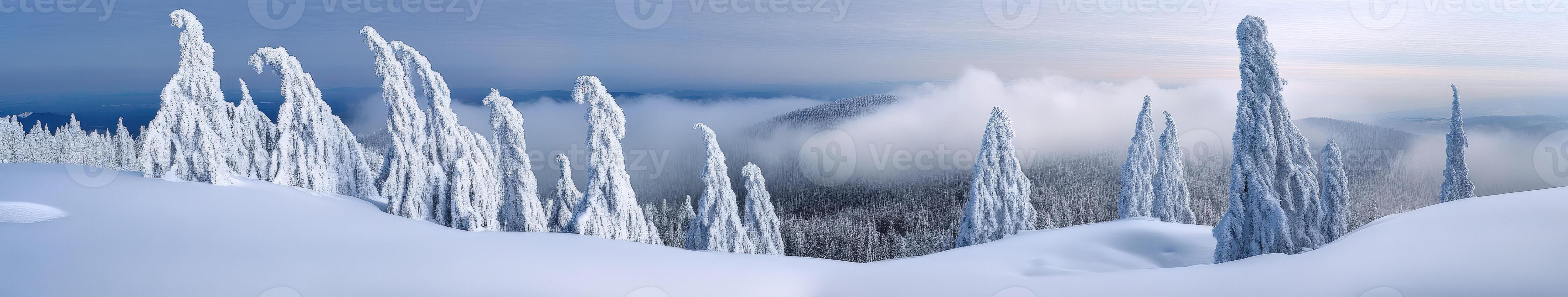 Snow-covered forest with frosted trees photo