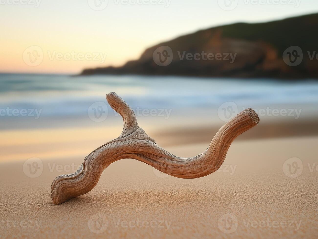 A driftwood branch on the beach at sunset photo