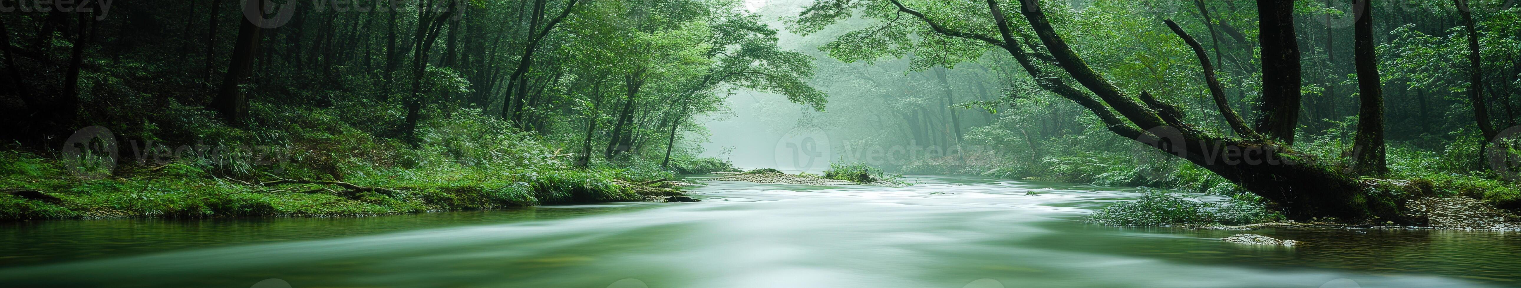 Serene river flowing through lush forest photo