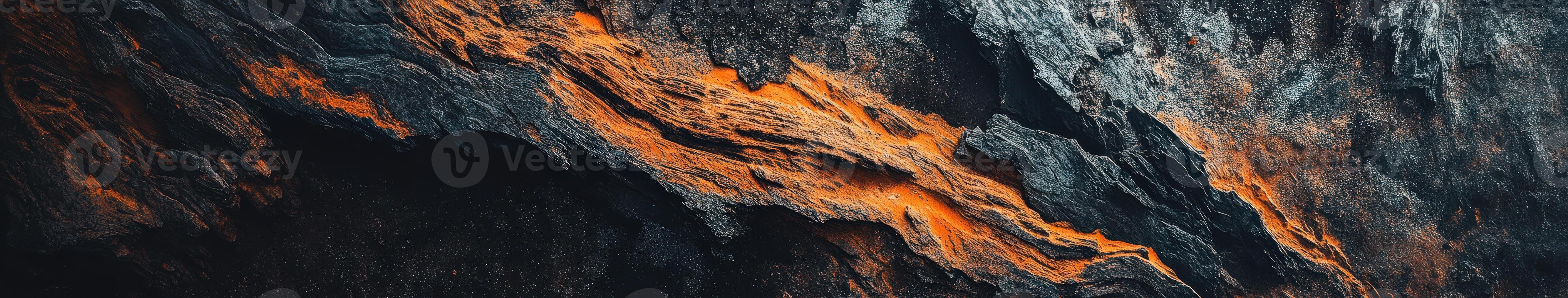 A close up of a tree with orange paint photo