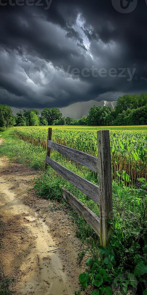 A fence in a field with dark clouds in the background photo
