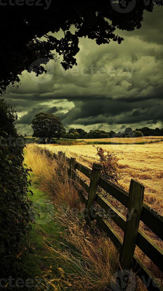 A fence in the field photo