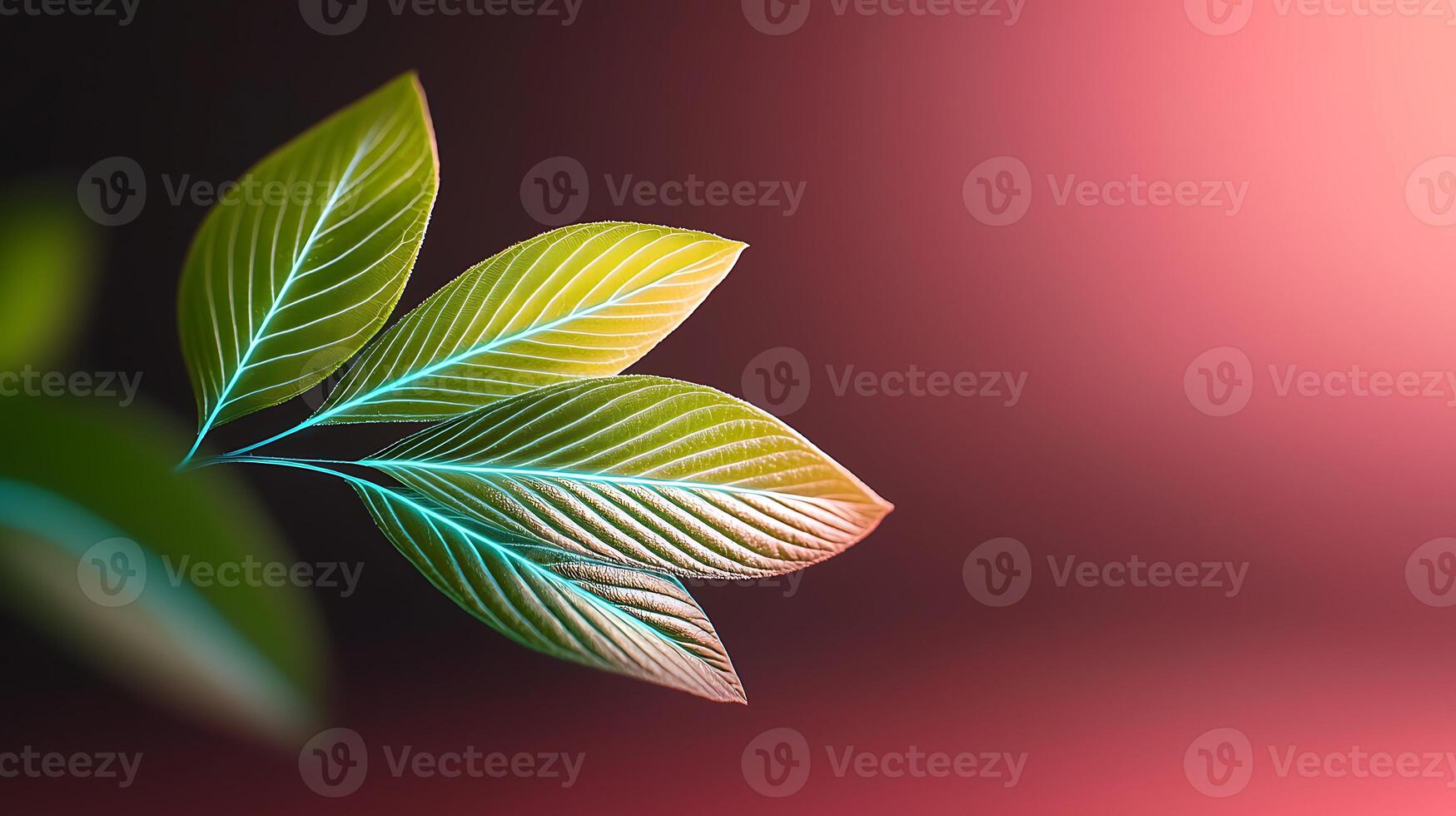 Vibrant green leaves with intricate veins against a soft gradient background, creating a serene atmosphere photo