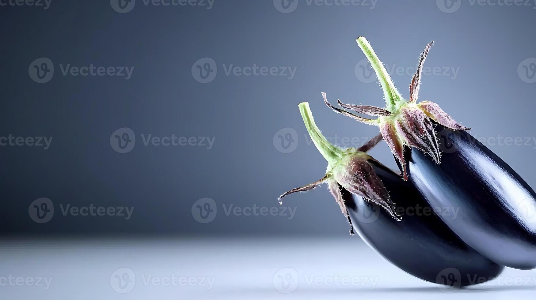 Two glossy eggplants resting on a smooth surface with a soft gradient background photo