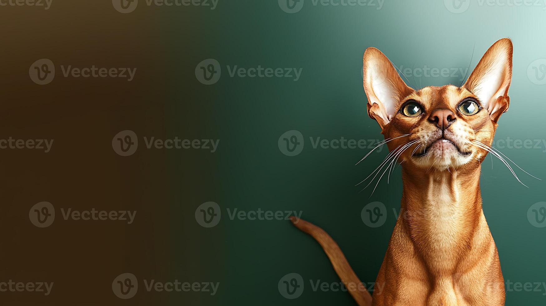 A curious brown cat gazes upward against a muted green and brown background, showcasing its expressive features photo