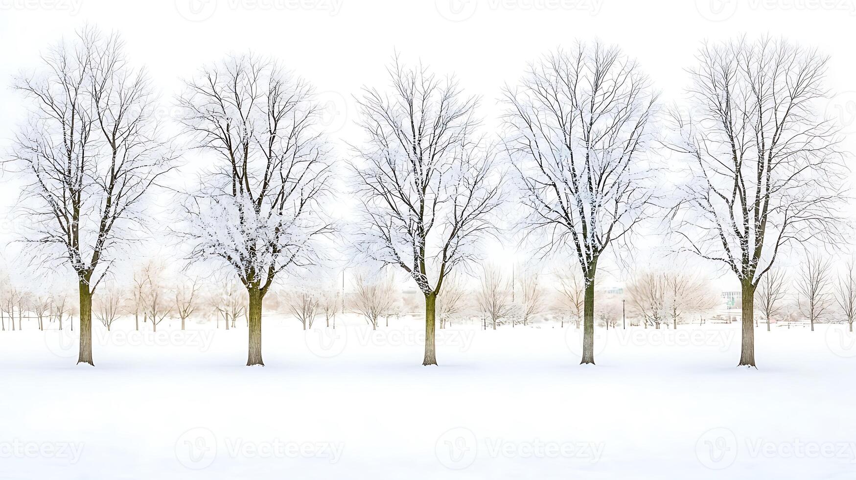 Serene winter landscape featuring five bare trees in a snowy field under a pale sky photo
