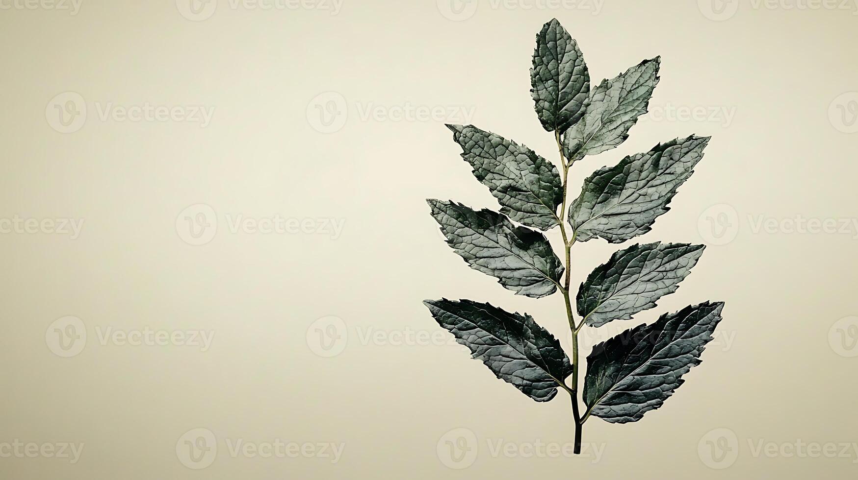 A close-up of a green leaf branch against a soft beige background, showcasing its texture and details photo