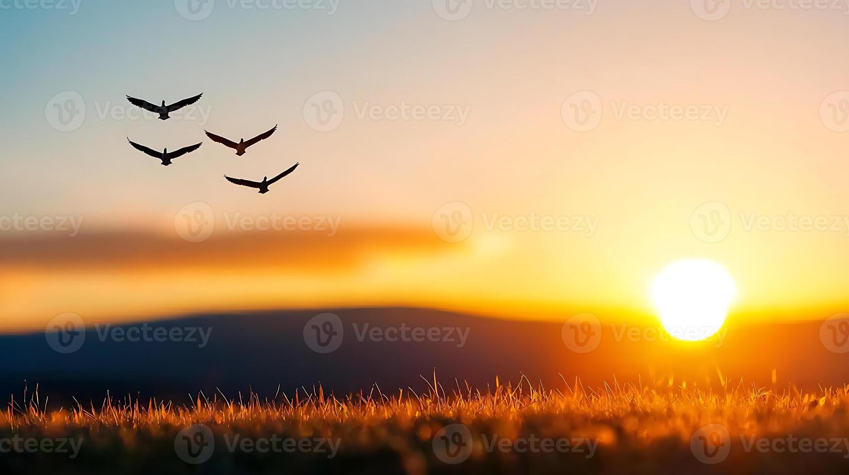 Silhouetted birds flying against a vibrant sunset over a grassy landscape, evoking tranquility photo