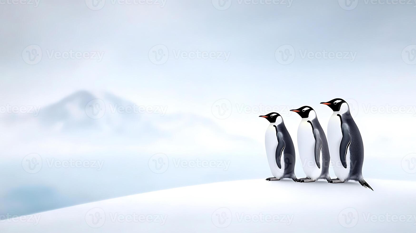 Three penguins standing on a snowy landscape, observing the serene icy background photo