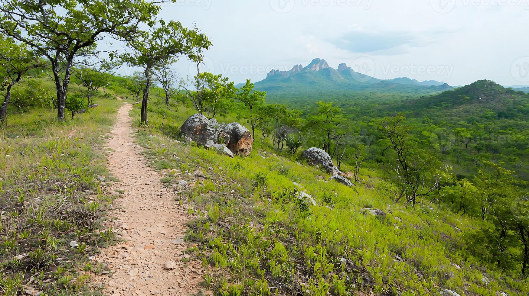 Scenic mountain landscape with a winding dirt path through lush greenery under a cloudy sky photo
