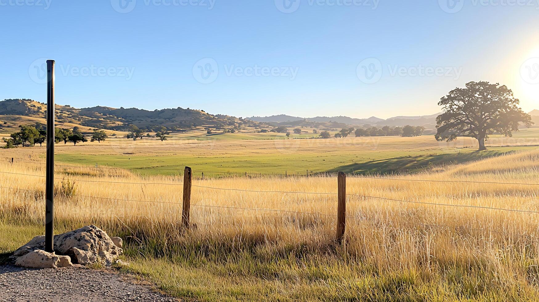 Serene countryside landscape with golden fields, distant hills, and a lone tree at sunset photo