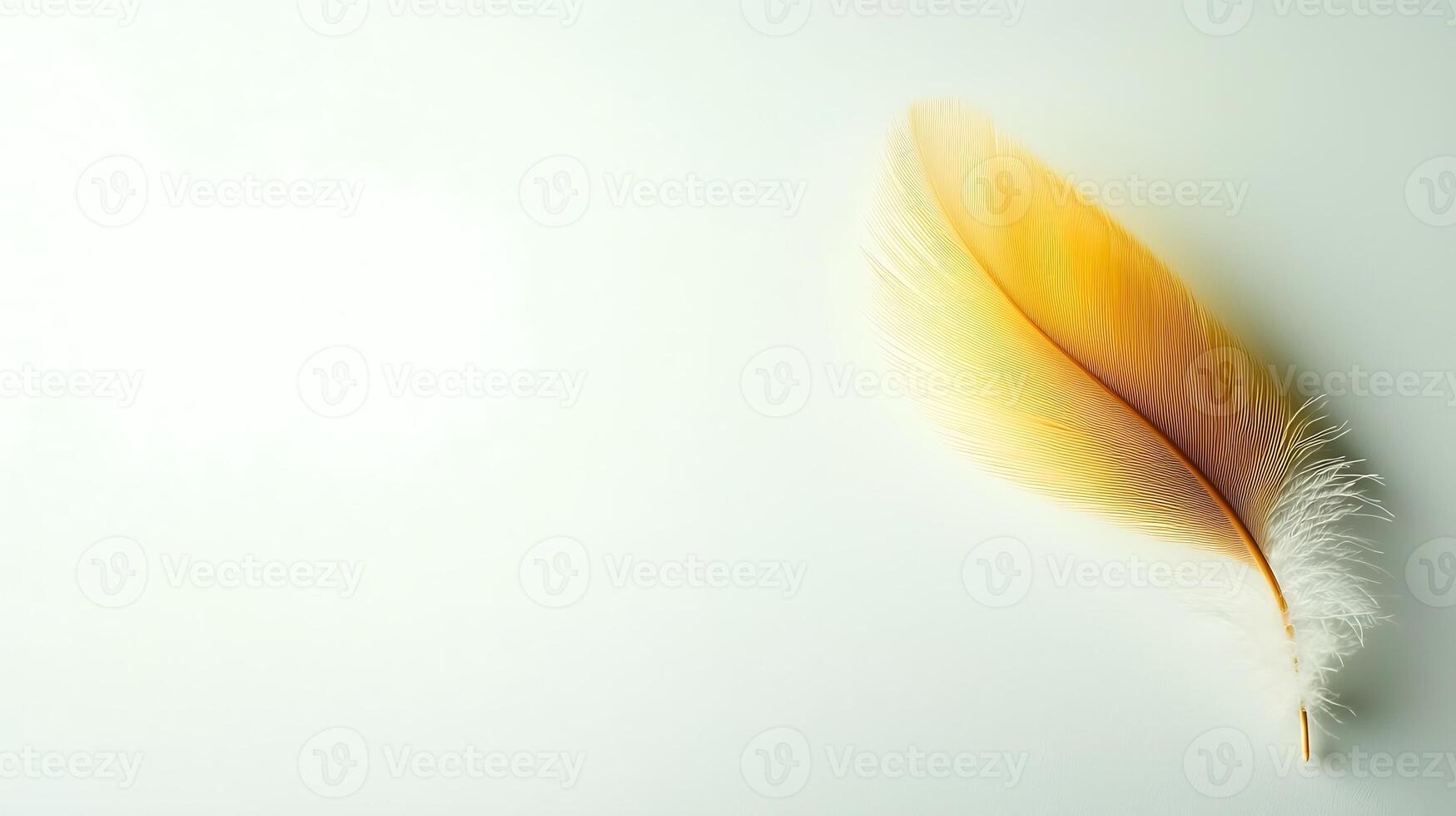 Delicate golden feather resting on a soft white surface, evoking tranquility and elegance photo