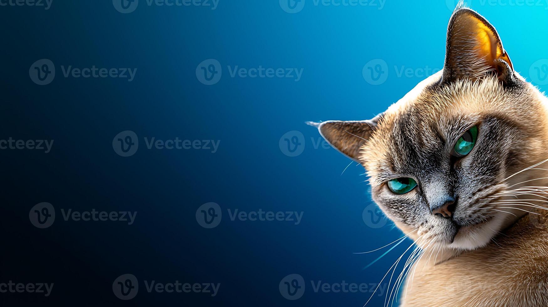 Close-up of a curious cat with striking green eyes against a gradient blue background photo