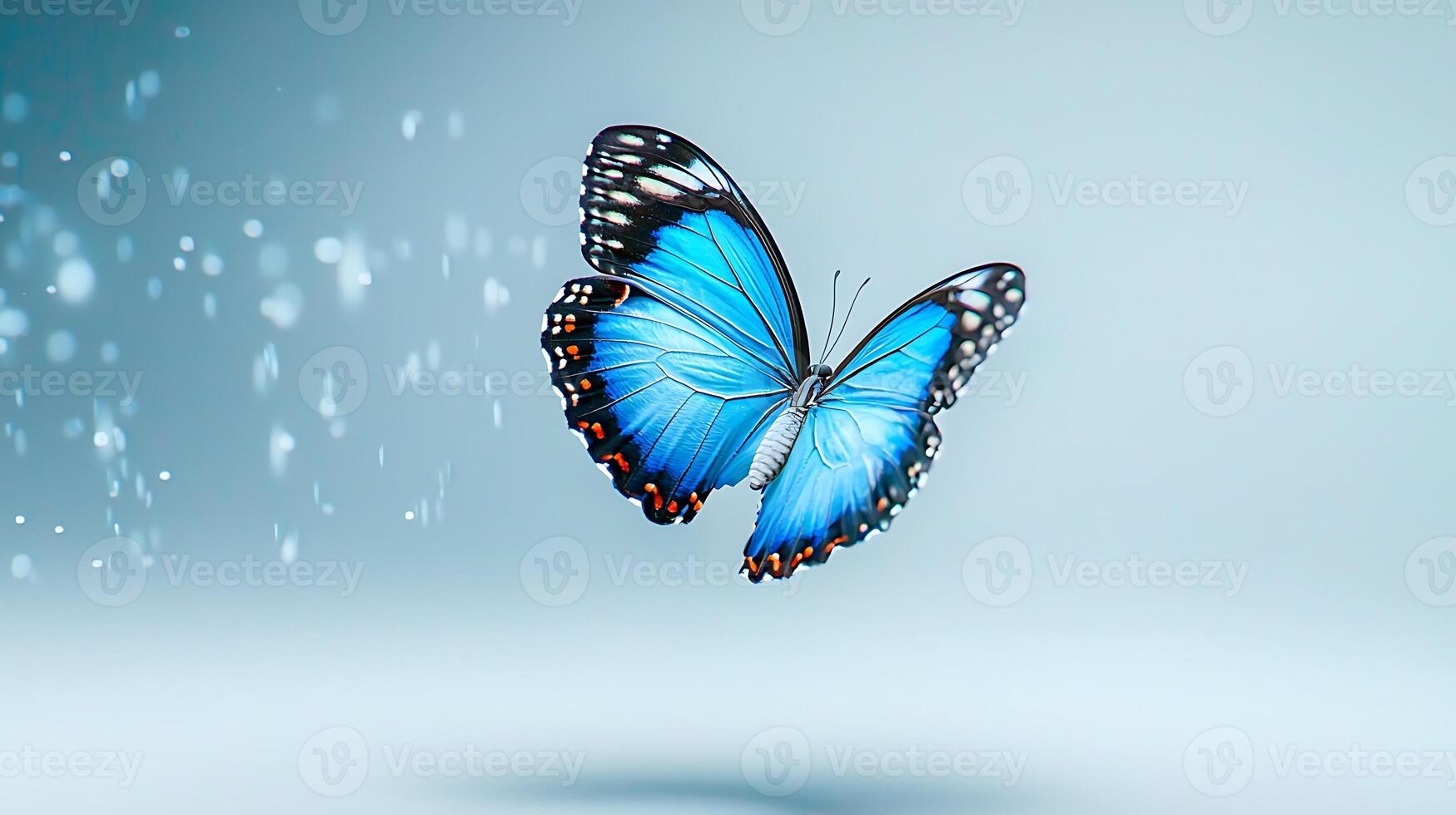 Vibrant blue butterfly gracefully flutters against a soft, blurred background filled with light photo