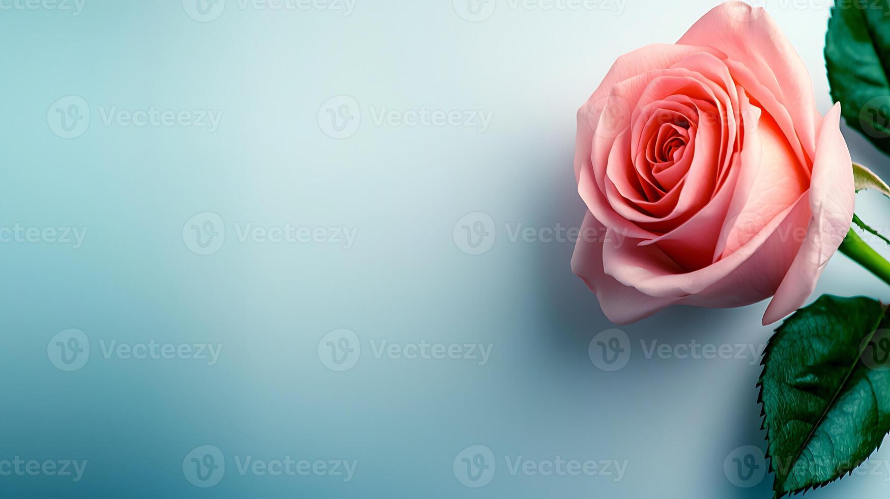 A delicate pink rose with lush green leaves against a soft blue background, symbolizing beauty photo
