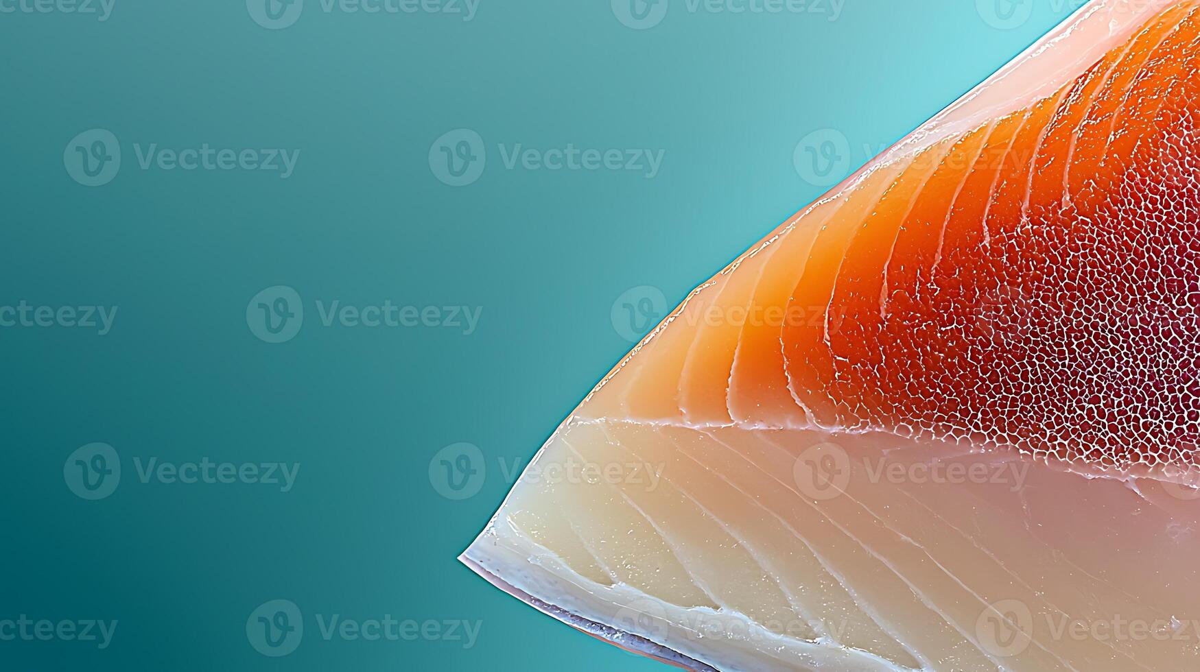 Close-up of a salmon fillet showcasing vibrant colors and textures against a soft gradient background photo