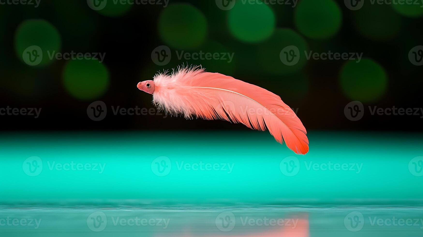 A delicate pink feather gracefully suspended above a reflective surface with a soft bokeh background photo