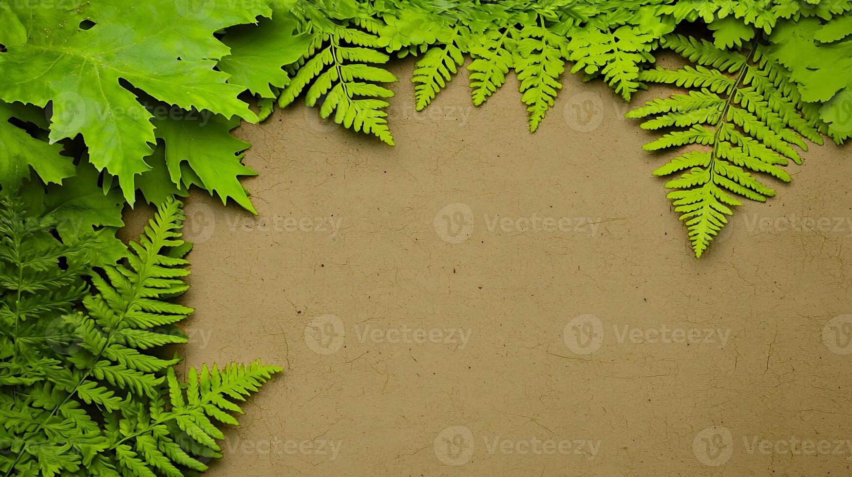 Lush Greenery Framing a Natural Background with Textured Earthy Tones for Design Use photo