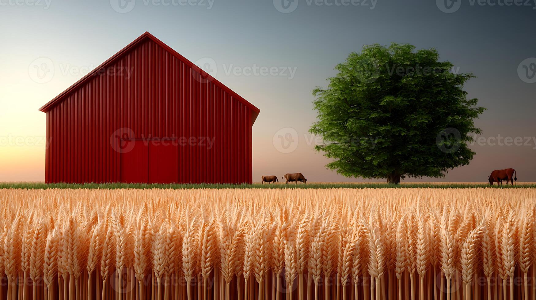 Red barn beside a large tree in a golden wheat field at sunset with grazing cows nearby photo