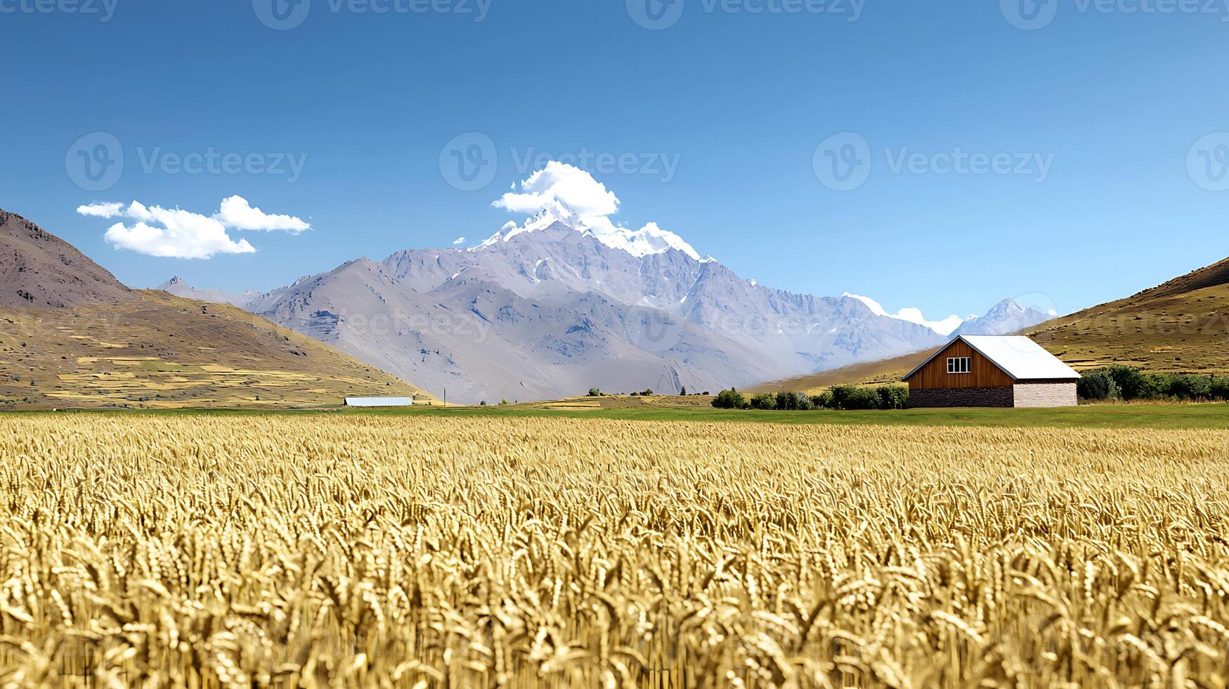 Serene landscape of golden wheat fields with a rustic barn against majestic mountains photo