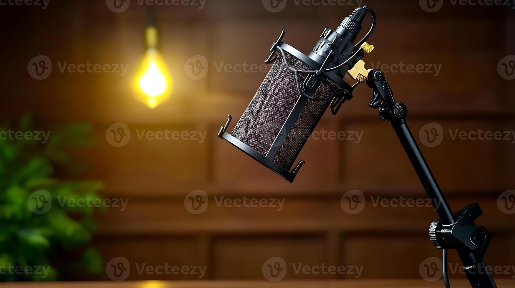 Studio microphone on a stand with soft lighting, wooden background, and plant accent photo