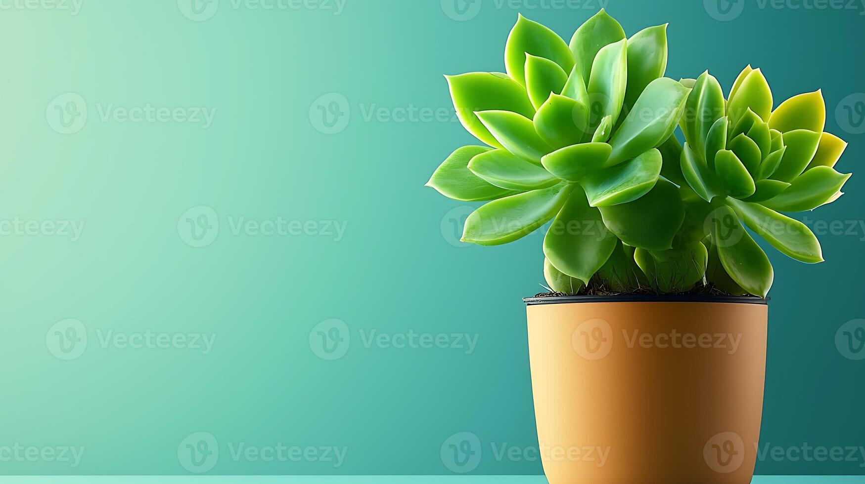 Vibrant green succulent plants in a stylish pot against a soft gradient background photo