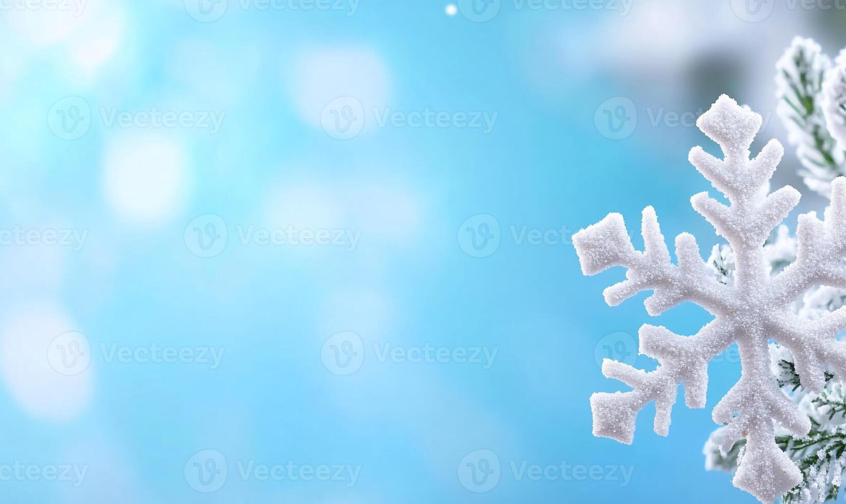 A snowflake is on top of a fir tree branch photo