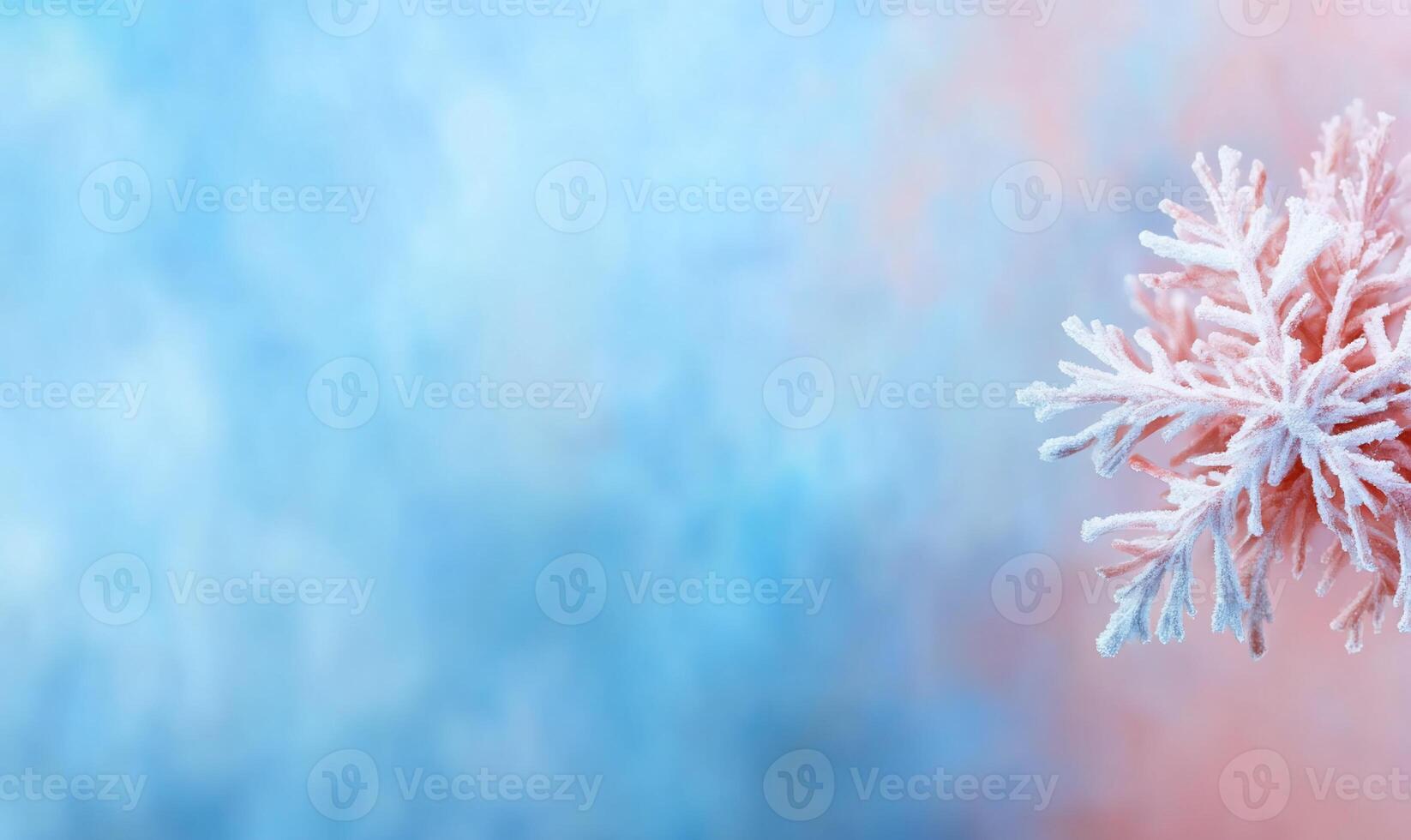 A snowflake is shown on a blue and pink background photo